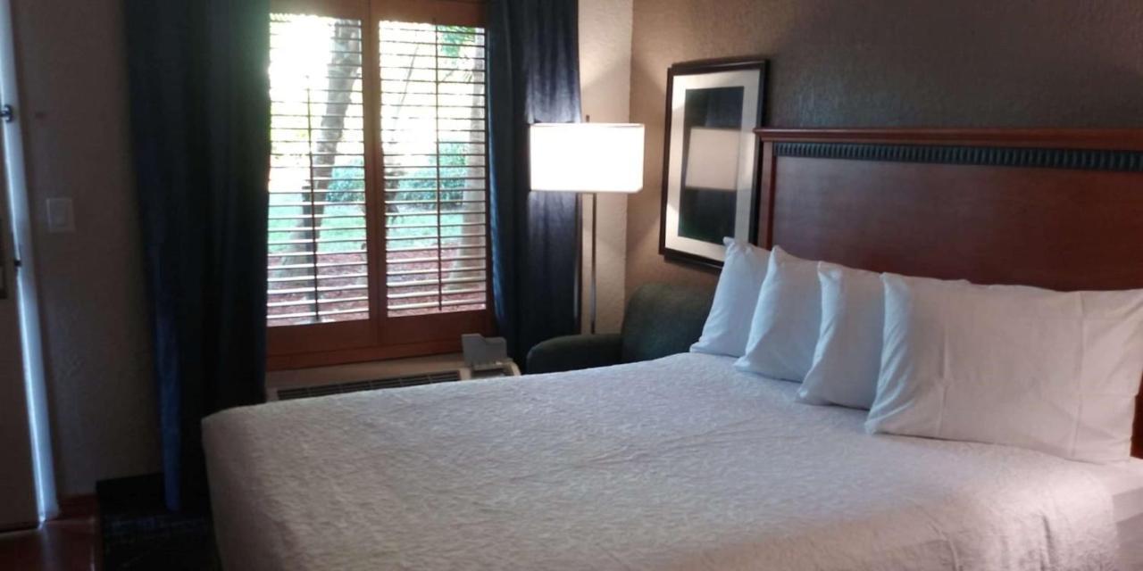 Surestay Plus Hotel By Best Western Clearwater Central Εξωτερικό φωτογραφία