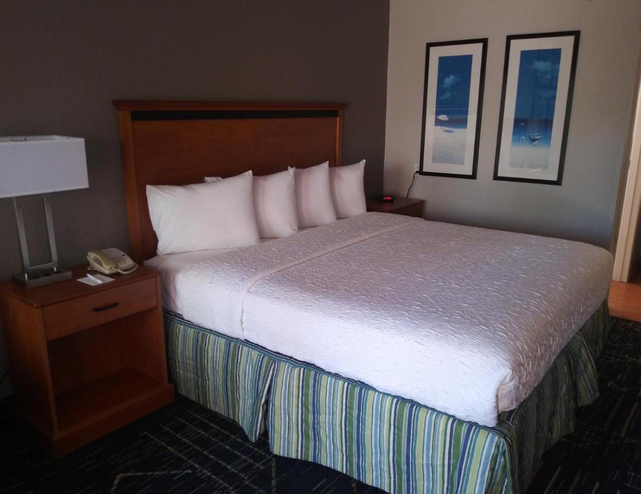 Surestay Plus Hotel By Best Western Clearwater Central Εξωτερικό φωτογραφία